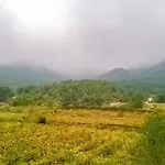 بيت ضيافة Cal Guixater